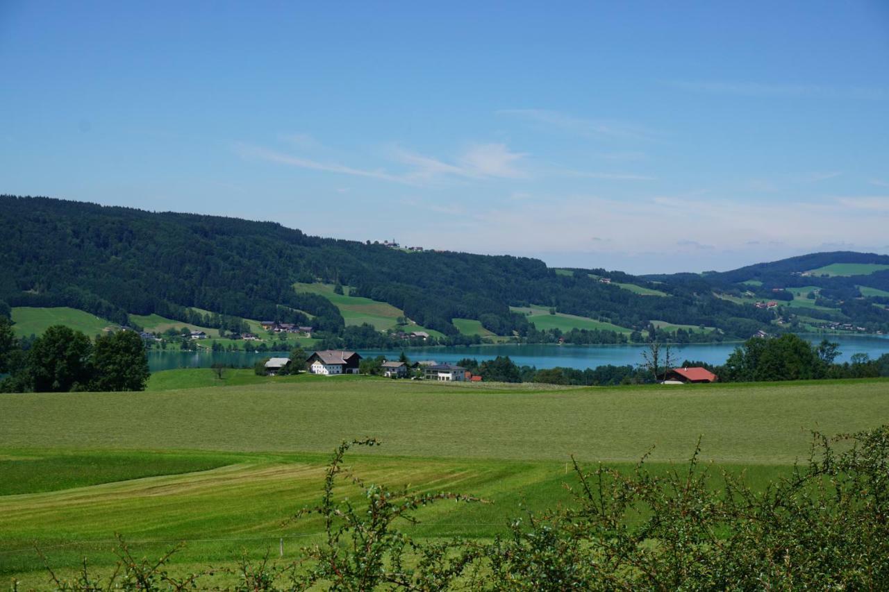 Ferienwohnung Hausleitner Zell am Moos Bagian luar foto