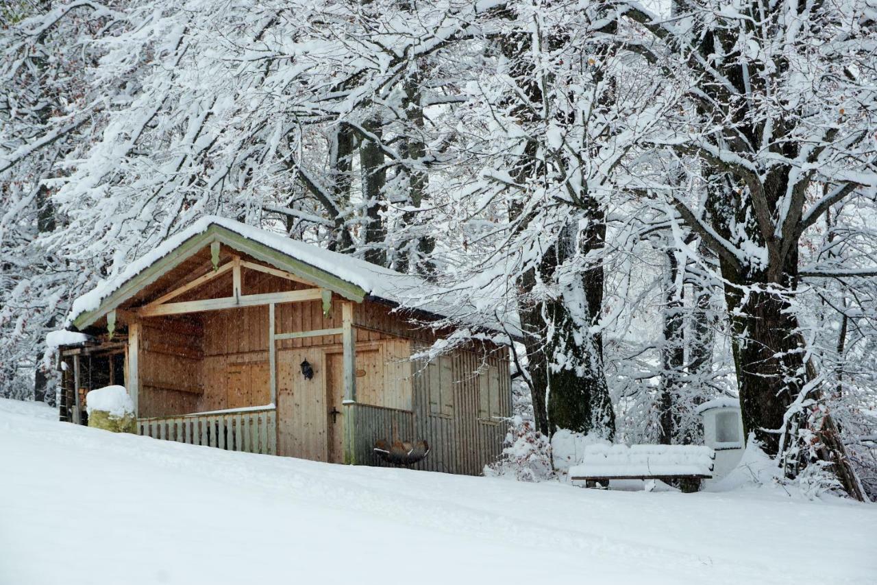 Ferienwohnung Hausleitner Zell am Moos Bagian luar foto